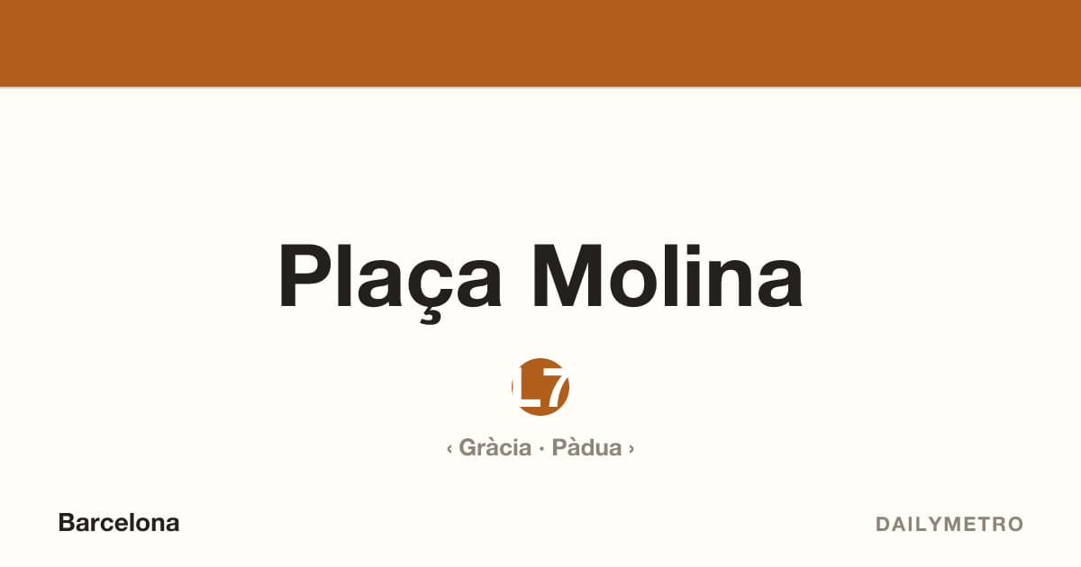 Estació Plaça Molina · Línies L7