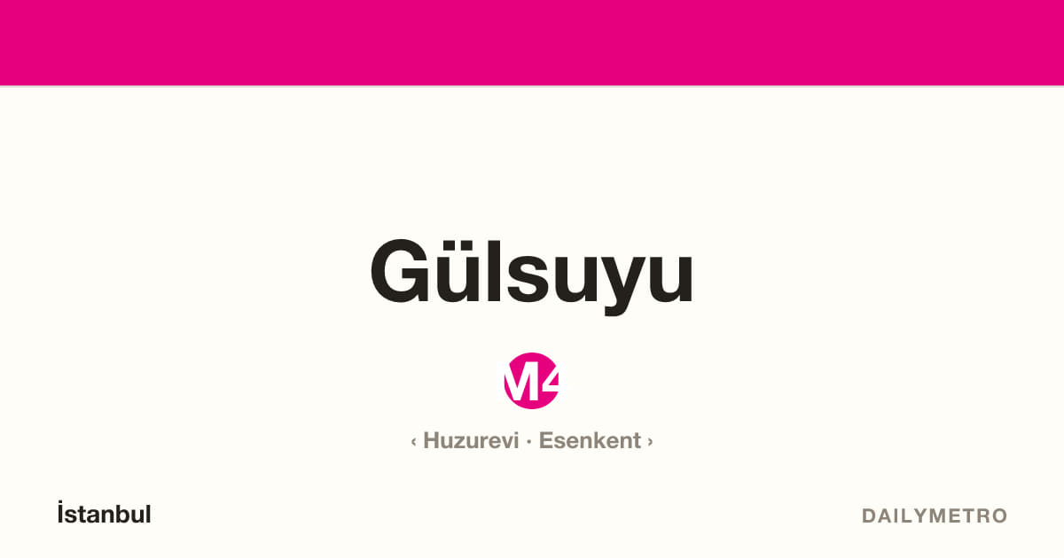 Gülsuyu station · Lines M4