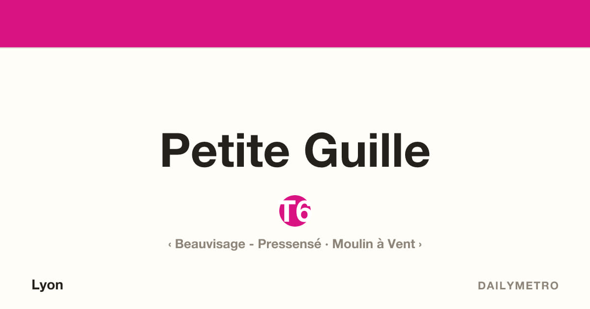 Station Petite Guille · Lignes T6