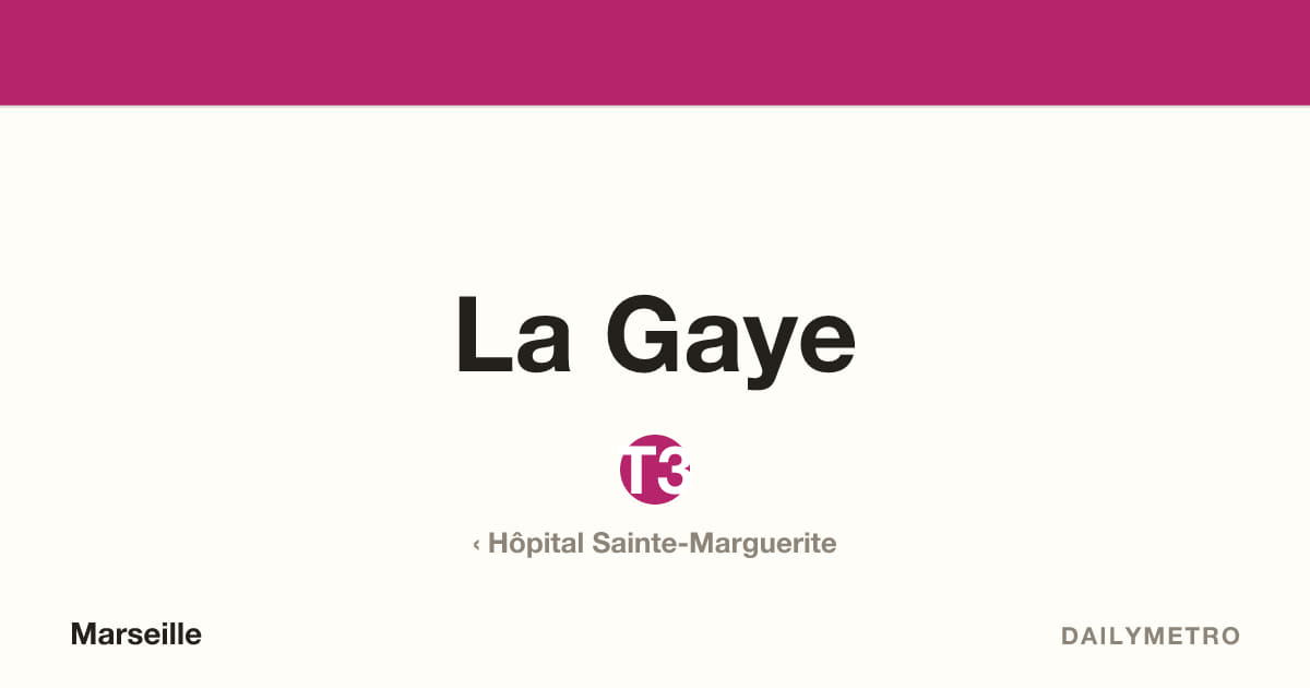 La Gaye station · Lines T3