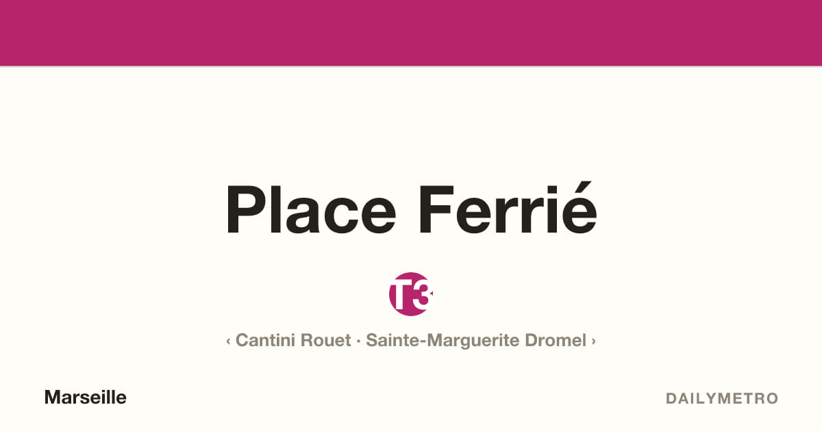 Station Place Ferrié · Lignes T3