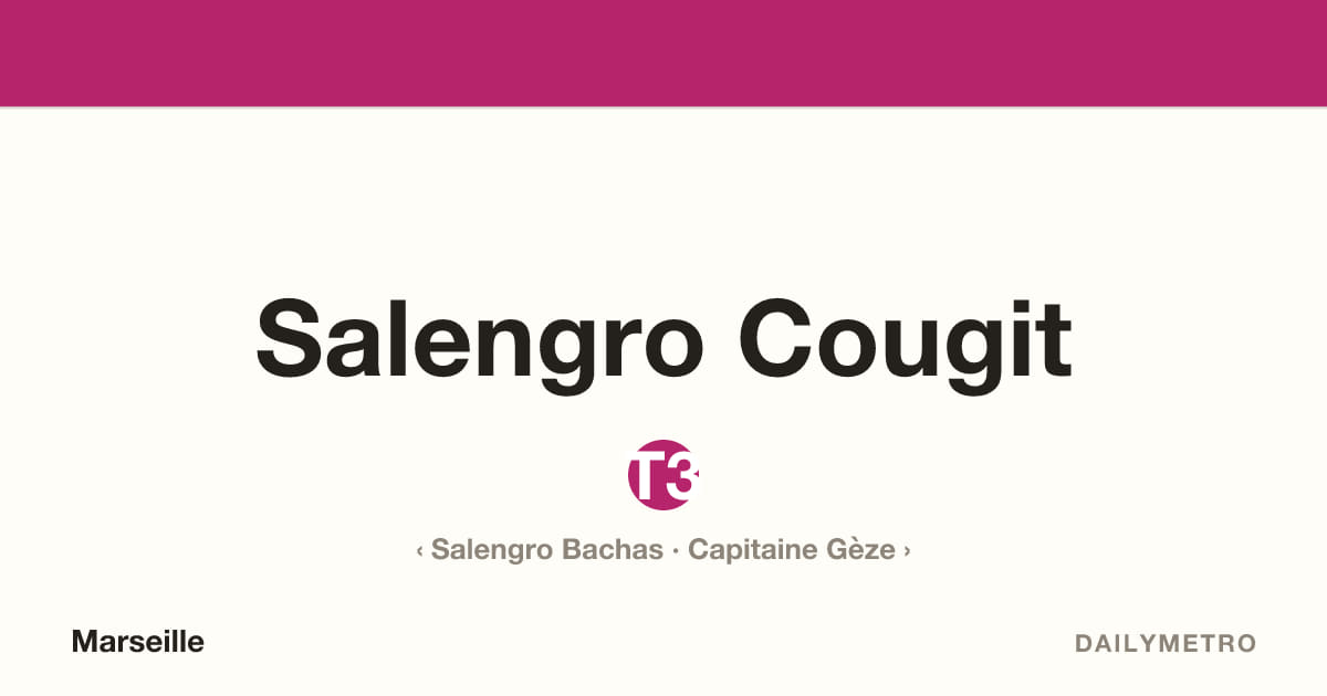 Station Salengro Cougit · Lignes T3