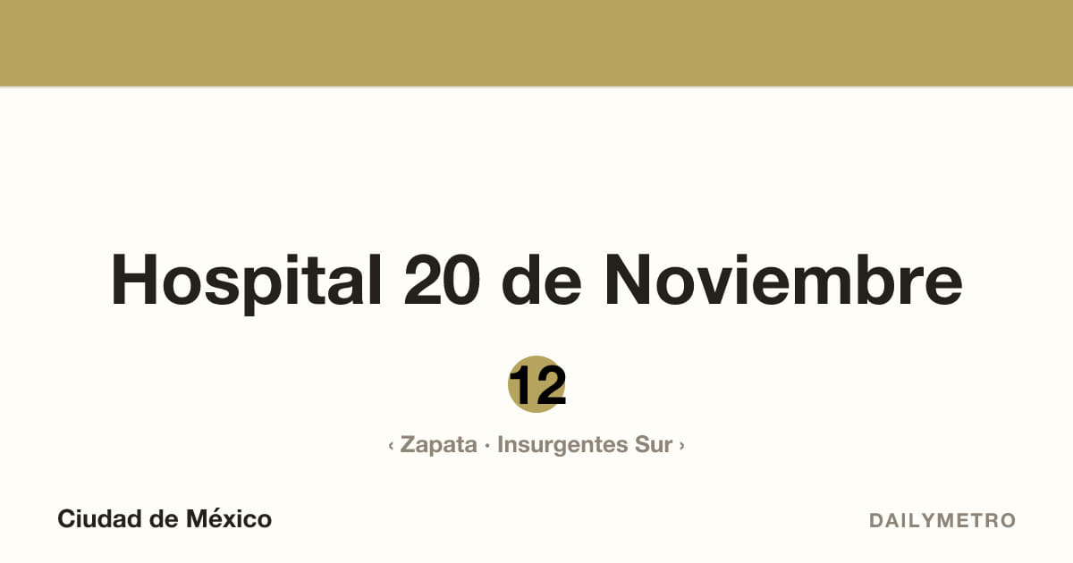Estación Hospital 20 de Noviembre · Líneas 12