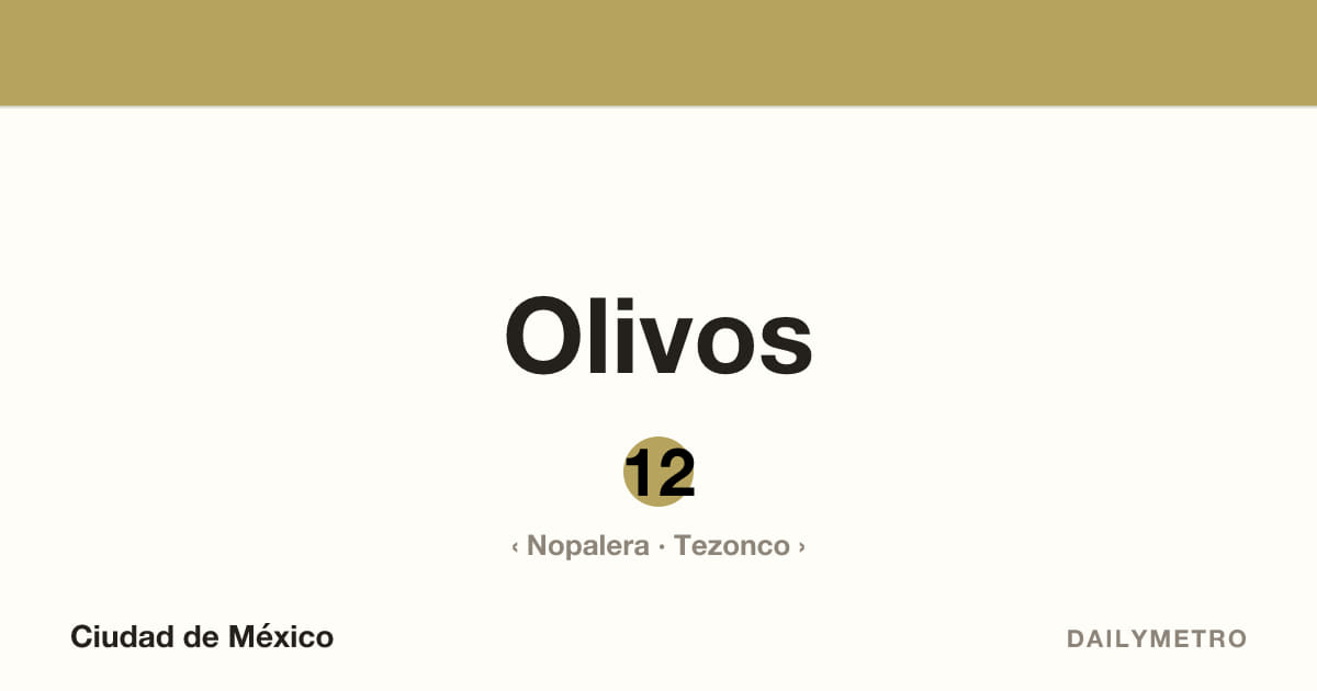 Estación Olivos · Líneas 12