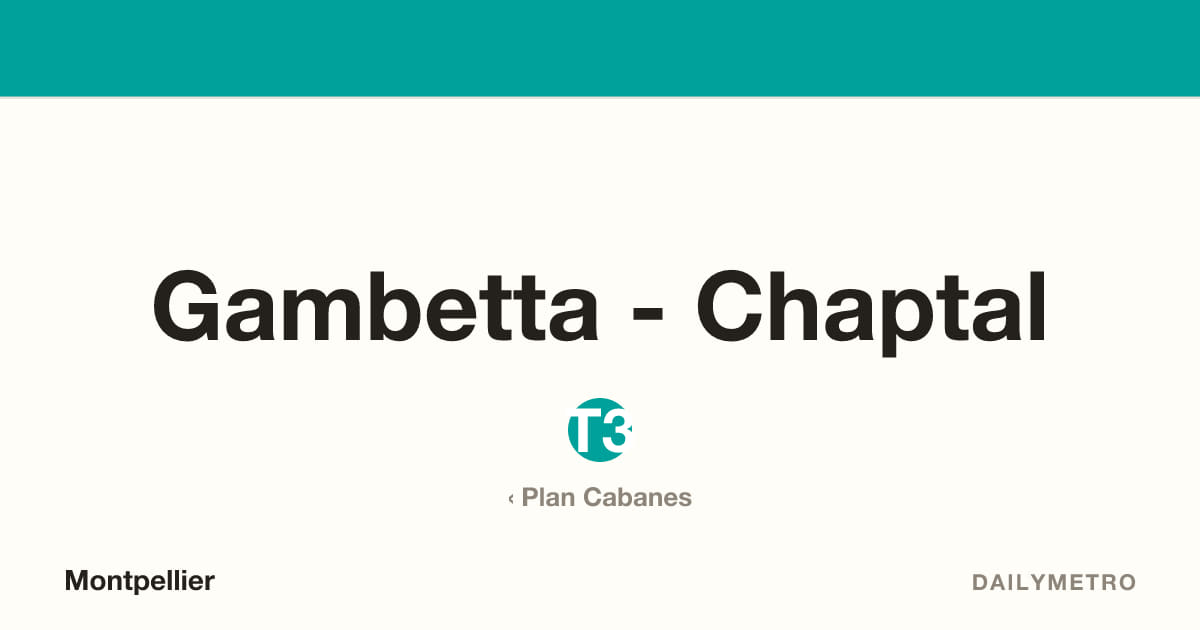 Station Gambetta - Chaptal · Lignes T3