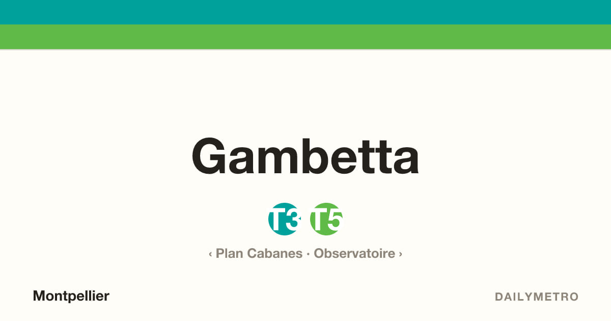Gambetta station · Lines T3, T5